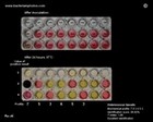 Biochemical identification for Enterococcus